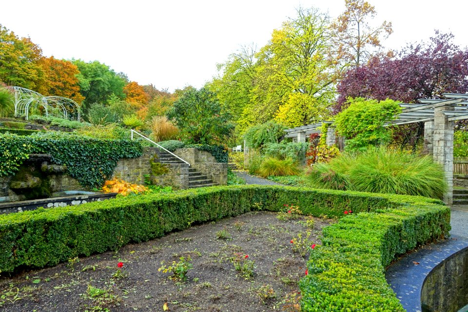 Rose garden - Landesgartenschau-Park - Würzburg, Germany - DSC04403