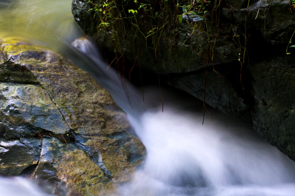 Stones nature water