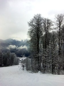 Rosa Khutor (157441625)