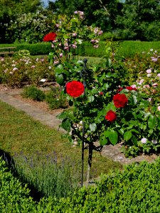 Rosengarten-D-11-a-OutOfRosenheim