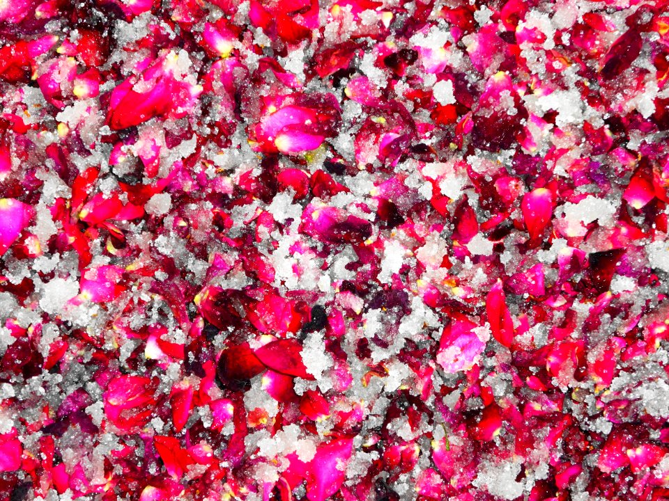 Rose Petals and Sugar