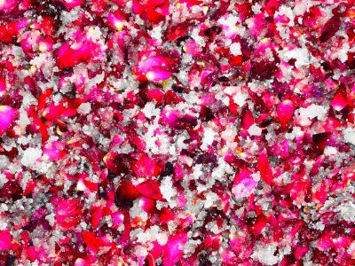 Rose Petals and Sugar