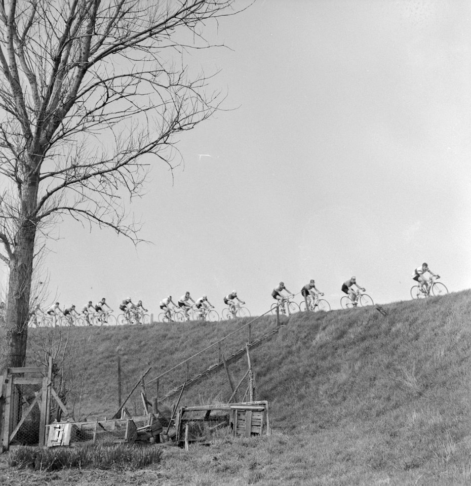 Ronde van Noord Holland , de wielrenners in een typisch West Fries landschap, Bestanddeelnr 917-6064