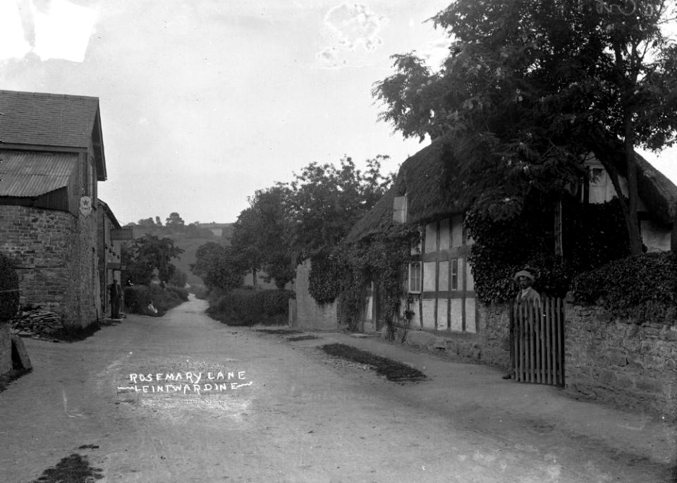 Rosemary Lane Leintwardine (1293548)