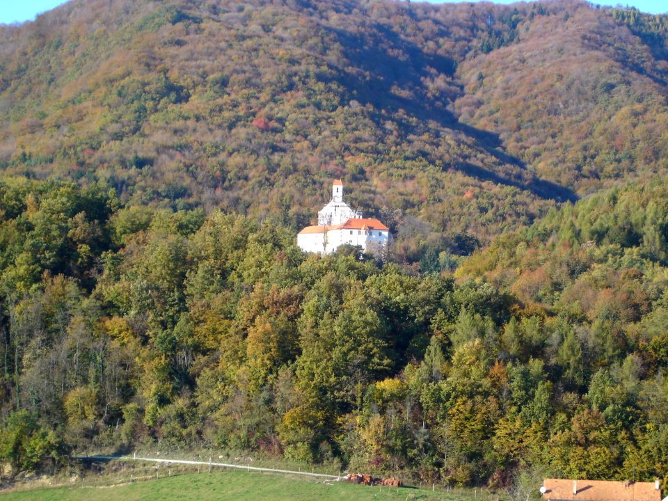 Restoration of Pišece Castle in 2006 124