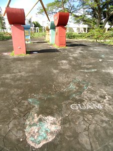 Rose garden - University of Guam - DSC00998