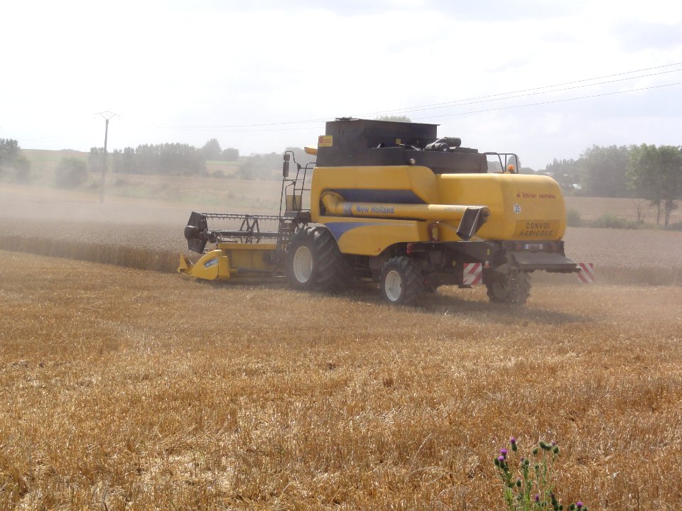 Ronssoy (Somme) harvesting 02