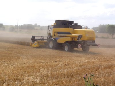 Ronssoy (Somme) harvesting 02