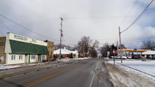 Rosebush, Michigan