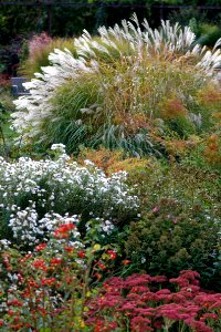 Rosengarten-bjs181003-05