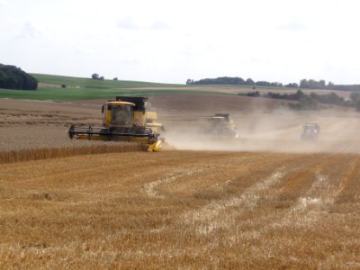 Ronssoy (Somme) harvesting 01
