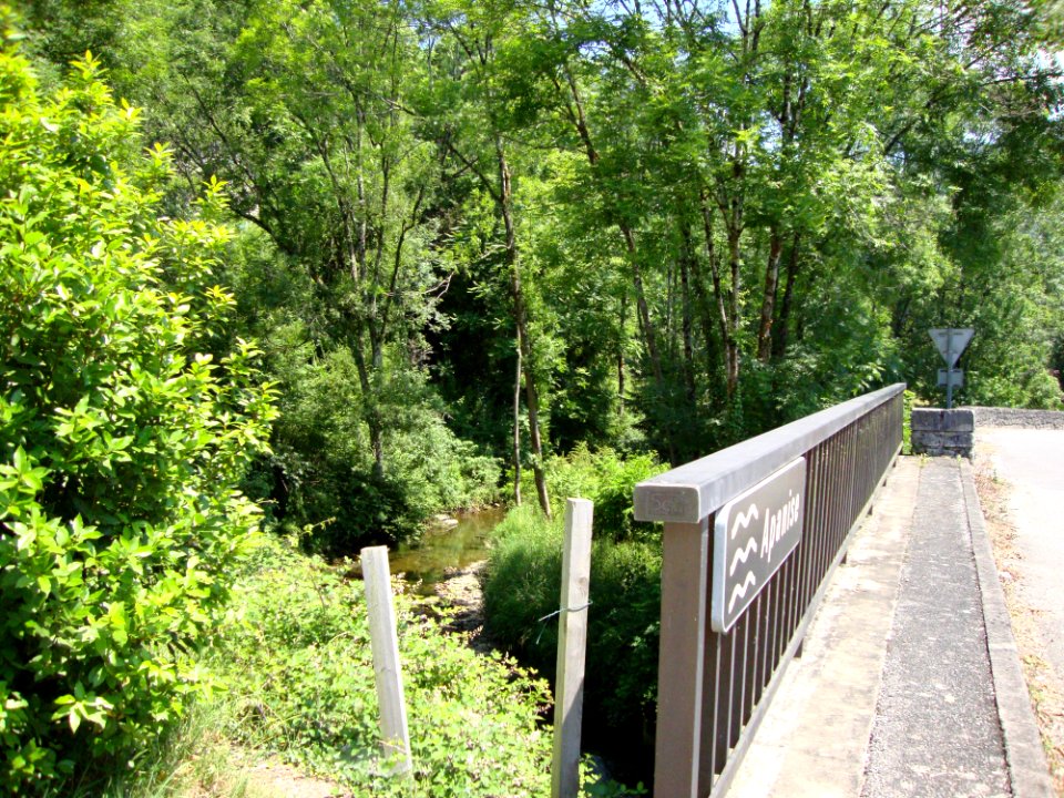 Restoue (Laguinge-Restoue, Pyr-Atl, Fr) Apanise, petite rivière