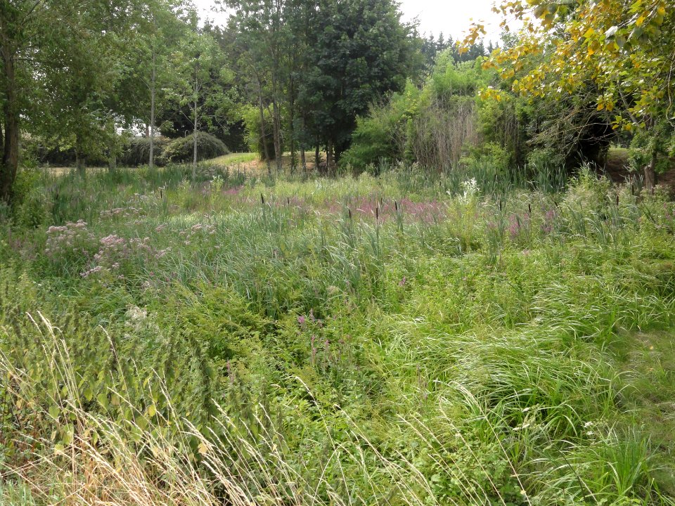 Ronvaux (Meuse) paysage (01)