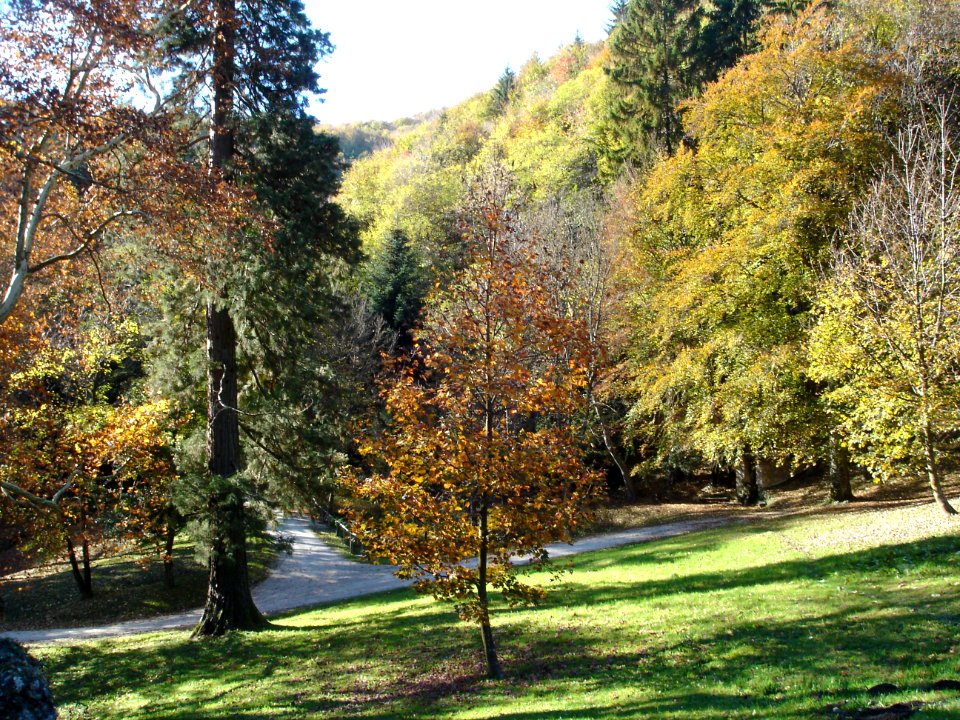 Restoration of Pišece Castle in 2006 115