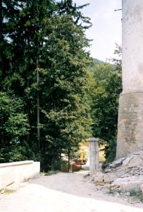 Restoration of Pišece Castle in 2006 30