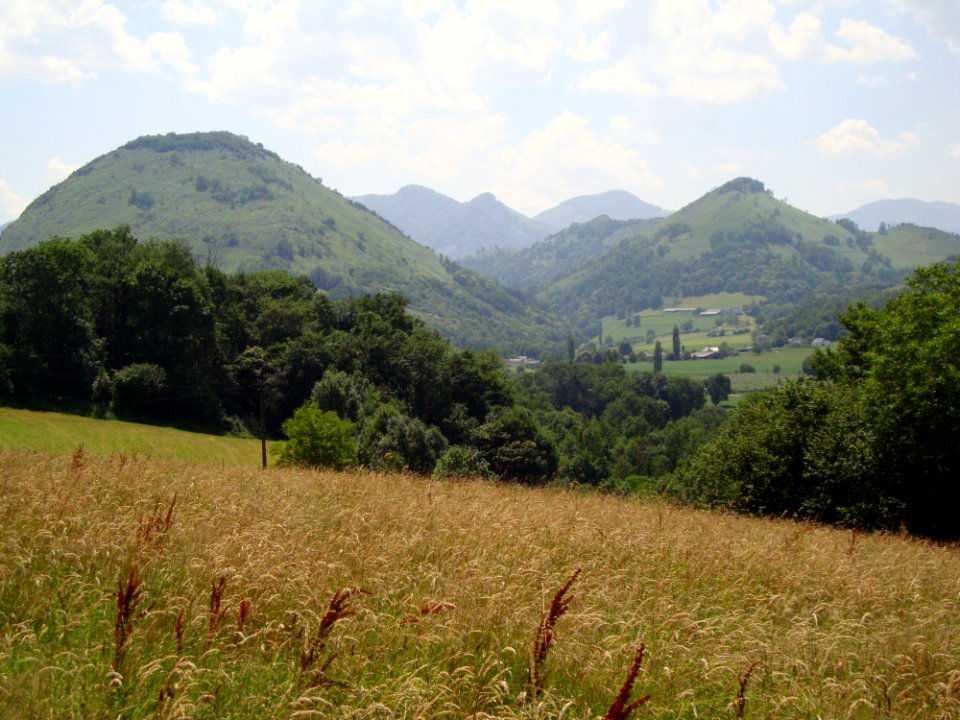 Restoue (Laguinge-Restoue, Pyr-Atl, Fr) paysage