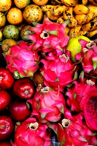 Exotic fruits assortment display