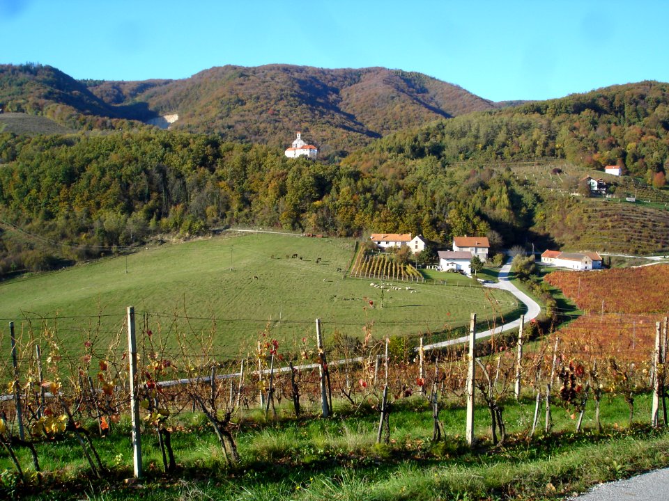 Restoration of Pišece Castle in 2006 123