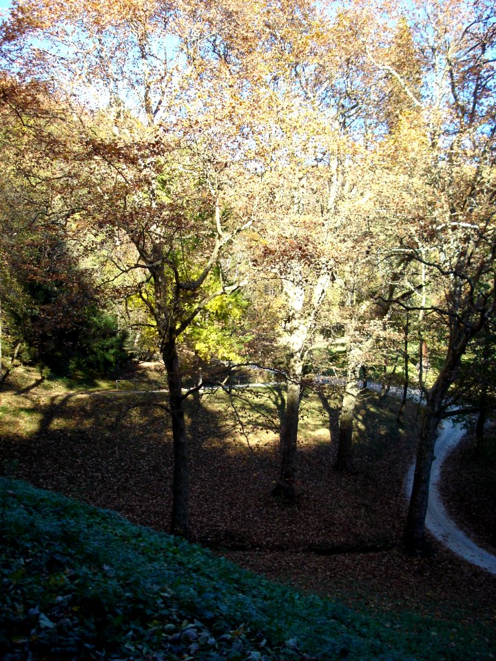 Restoration of Pišece Castle in 2006 119
