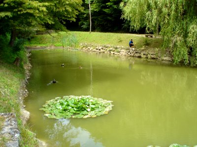 Restoration of Pišece Castle in 2007 84
