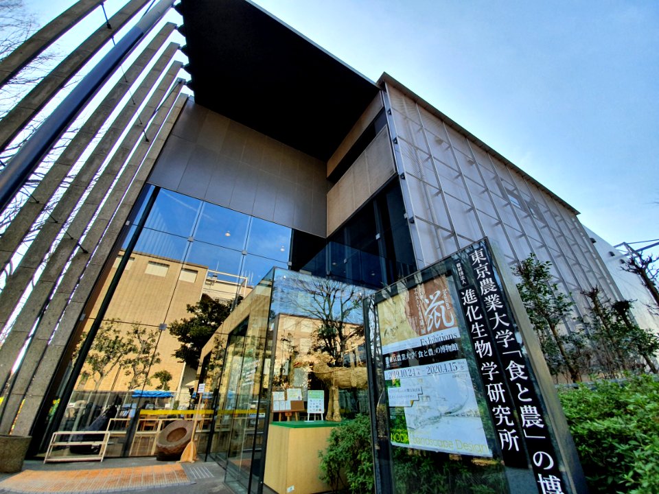 Research Institute of Evolutionary Biology