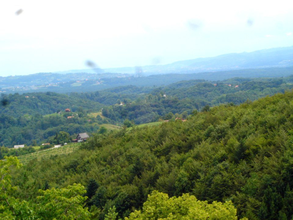 Restoration of Pišece Castle in 2007 117