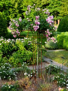 Rosengarten-D-2-a-Jasmina