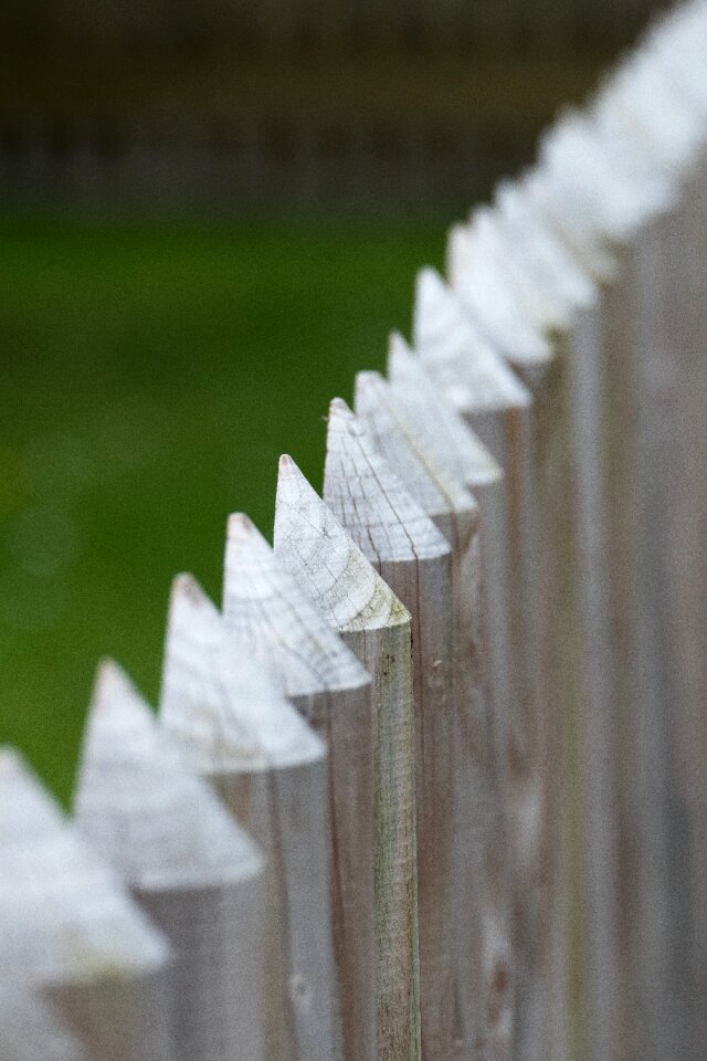 Wood fence batten paling