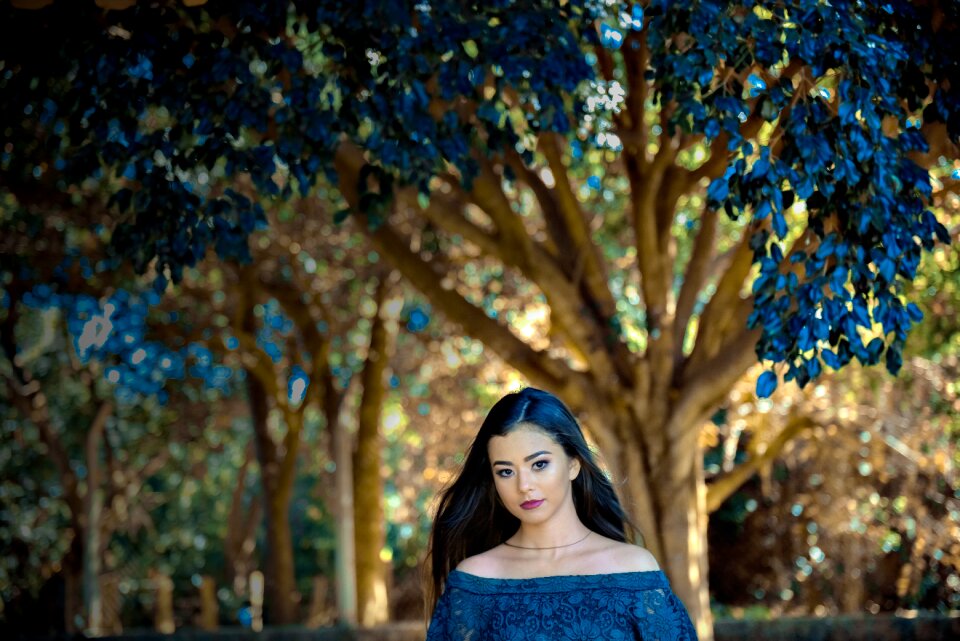 Debutante fifiteen book