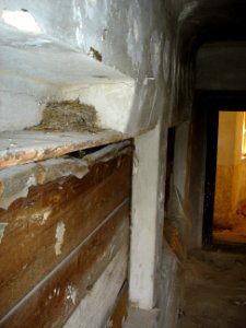 Restoration of Pišece Castle in 2007 124