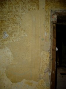 Restoration of Pišece Castle in 2007 134