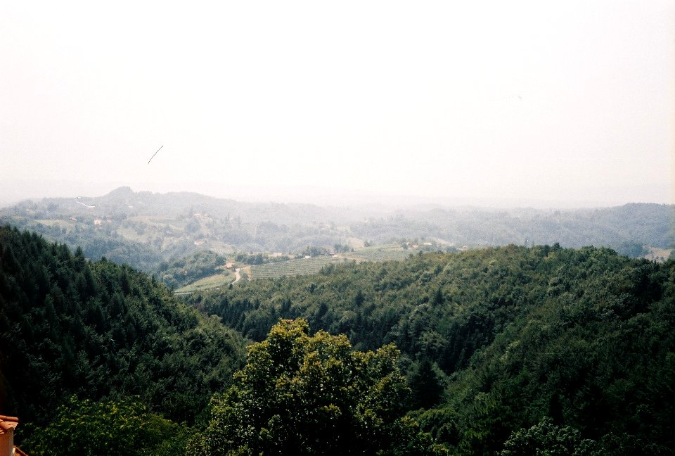 Restoration of Pišece Castle in 2006 74