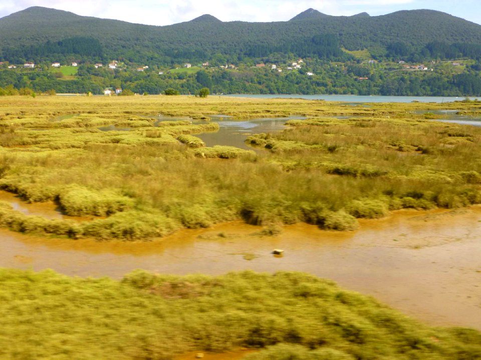 Reserva de Urdaibai 1