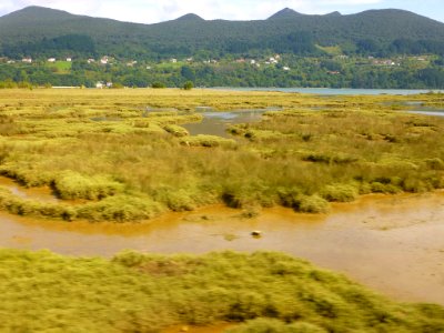 Reserva de Urdaibai 1