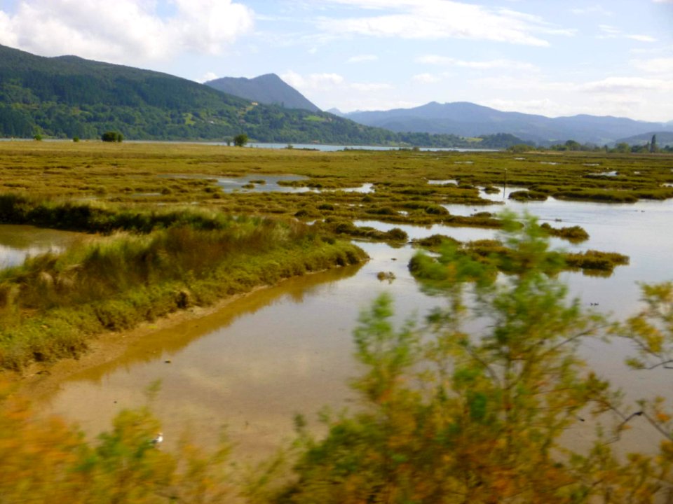 Reserva de Urdaibai 3