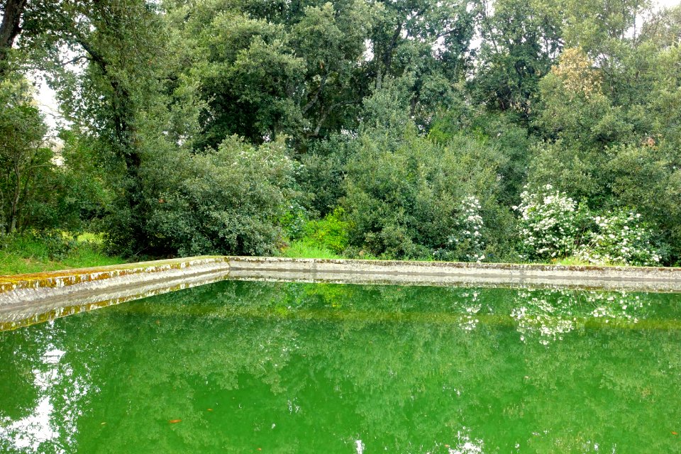 Reservoir - Bosco - Villa Lante, Bagnaia, Italy - DSC01961
