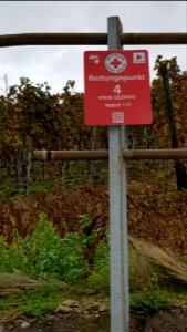 Rettungspunkt 4 RWW Dernau
