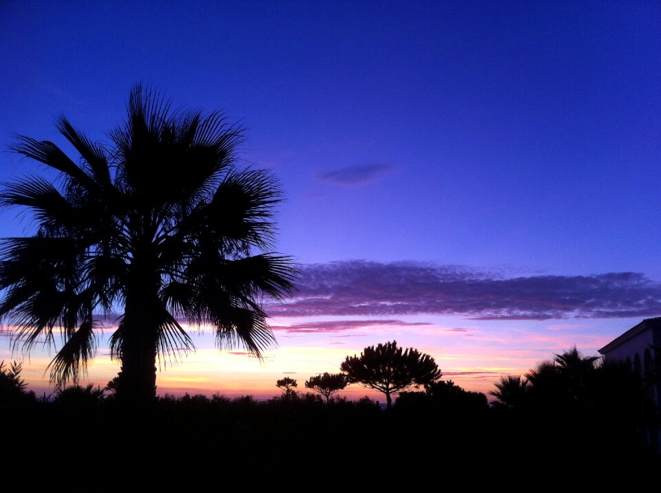 Moonlight light evening sky photo