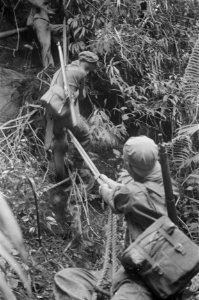 Resten van een neergestorte Dakota. Bergers in het oerwoud, Bestanddeelnr 194A-2-2