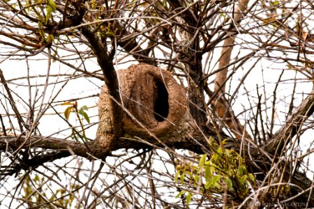 Reserva Ecológica Costanera Sur 247 09 2016 (177469505)
