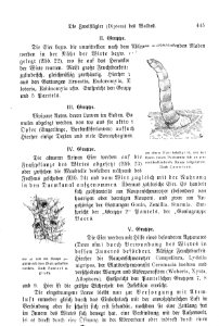 Reproducties, insecten, Bestanddeelnr 253-7170