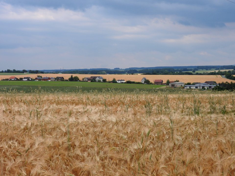 Reudnitz, Mohlsdorf-Teichwolframsdorf 19