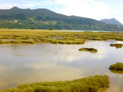 Reserva de Urdaibai 2