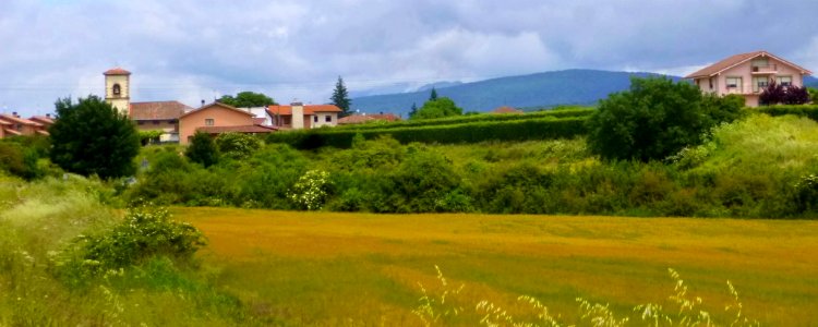 Retana 01