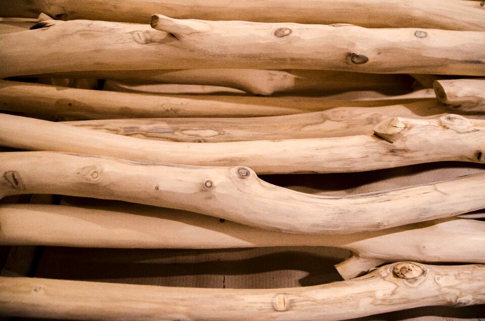 Trunk lumber wooden