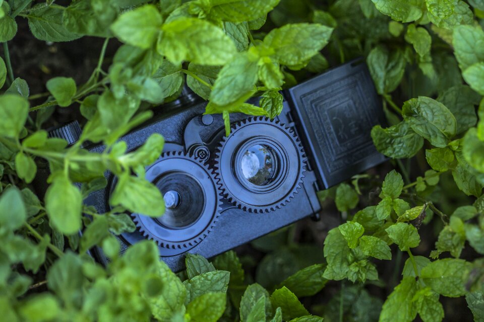 Plastic green photograph