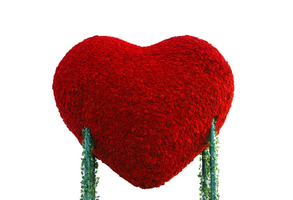 Red lifest by february 14