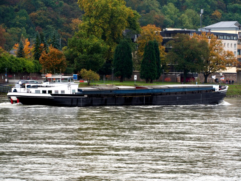 Rex-Rheni, ENI 02006298 on the Rhine river at Koblenz, pic2