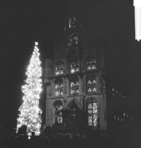 Reuzenkerstboom in Gouda, Bestanddeelnr 913-3089