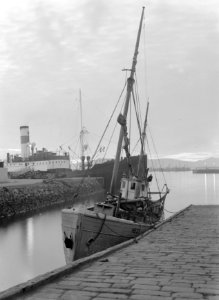 Reykjavik, havengezicht vissersboot MB 23 en op de achtergrond het vrachtschip , Bestanddeelnr 190-0404